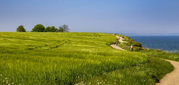 Landschaft Mit Blauem Meer Der Nordküste Elba Toskana Italien Europa — Stockfoto