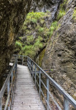 Şaşırtıcı dağlar manzara ateş