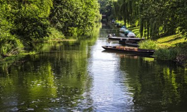 Yelken gemi su Harbor fotoğrafı