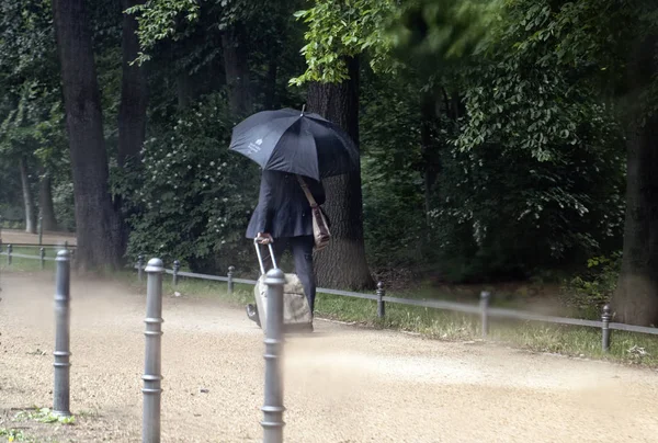 Ember Kocsi Esernyő Zöld Erdőben Fotó — Stock Fotó