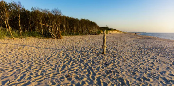 Plaży Letni Dzień Czas Strzał — Zdjęcie stockowe