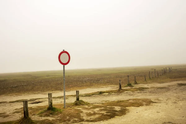 photo of Fog On The Beach