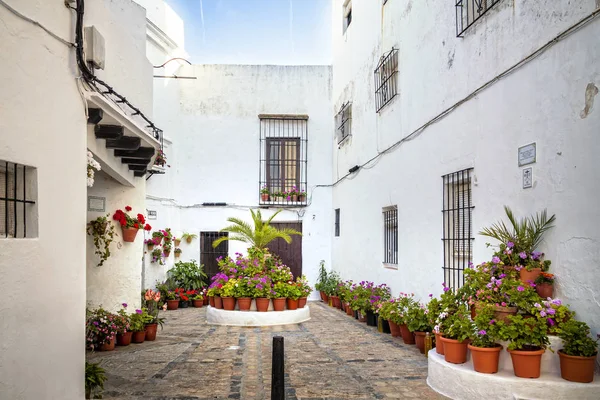 Güzel Çiçek Saksı Yakınındaki Beyaz Binalar Içinde Andalusien — Stok fotoğraf