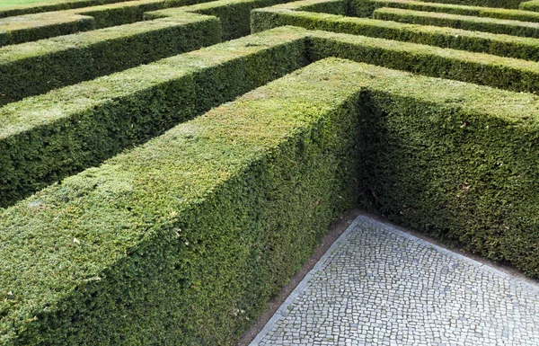 Labyrinth Närbild Skott — Stockfoto