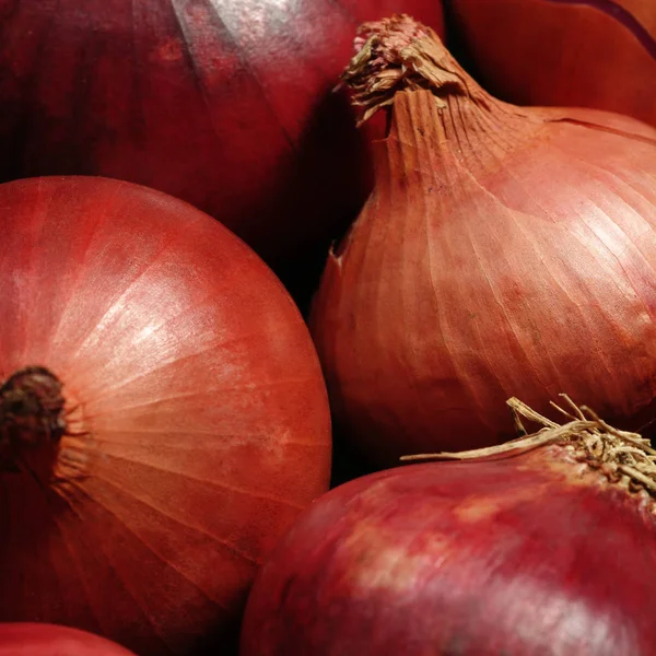 Primer Plano Cebolla Orgánica Para Una Alimentación Saludable Llena Vitaminas — Foto de Stock