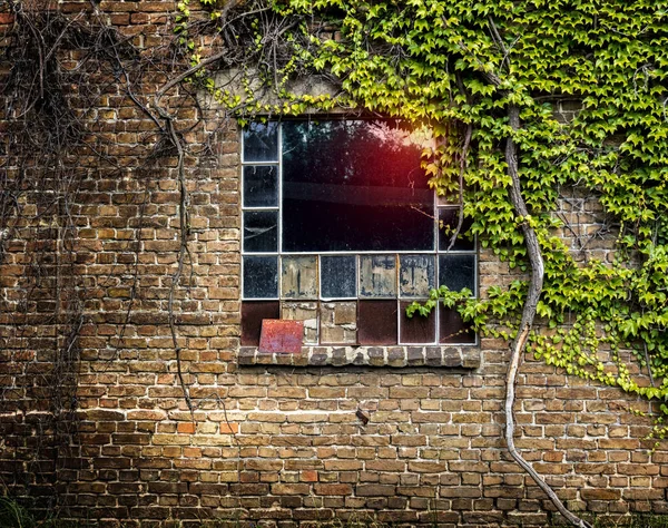 Atış Fabrika Pencerelerini Kapatın — Stok fotoğraf