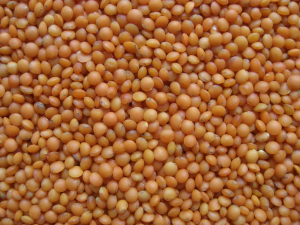 Close Photo Red Lentils Beans — Stock Photo, Image