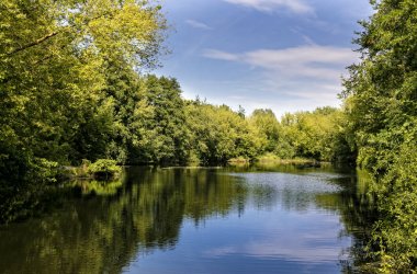 Şaşırtıcı doğal Tema. Doğa kavramı