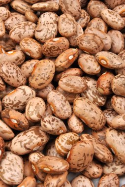 Organik pinto fasulye yahnisi veya çorba için iyi