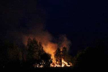 Orman içinde yanan ateş gece fotoğrafı 