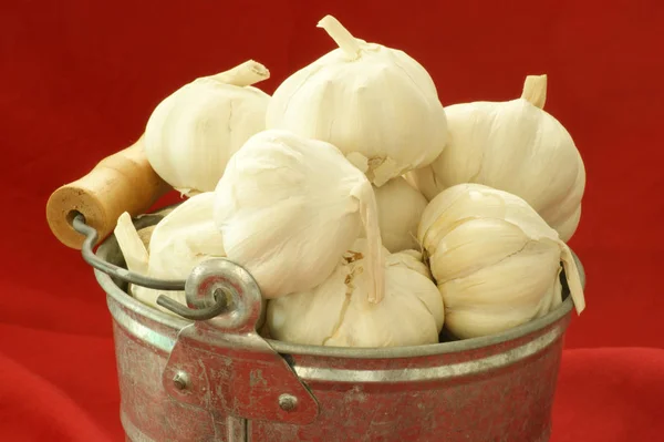 Kosárban Garlics Zár Megjelöl Szemcsésedik — Stock Fotó