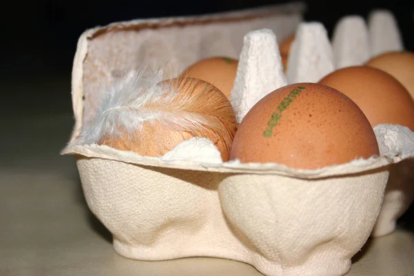 Gros Plan Sur Eggs — Photo