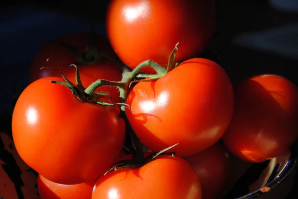 Leckere Tomaten Aus Nächster Nähe — Stockfoto