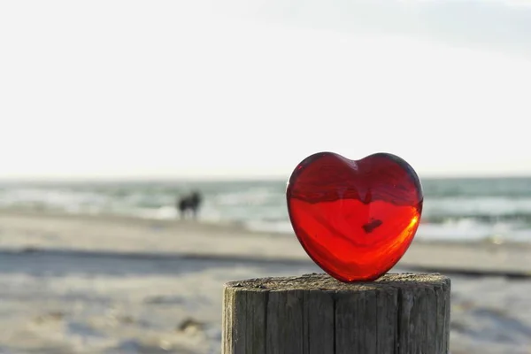 Närbild Foto Rött Hjärta Suddig Strand Solnedgång — Stockfoto