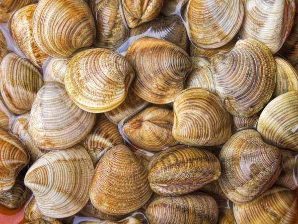 Close Photo Fresh Tasty Mussels Bowl — Stock Photo, Image