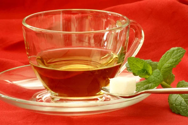 Tasse Verre Avec Thé Menthe Poivrée Feuilles Menthe Sur Fond — Photo