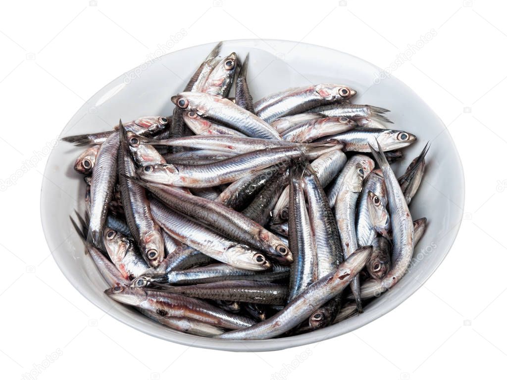 Raw Anchovies In A Plate Ready For Preparing In The Kitchen