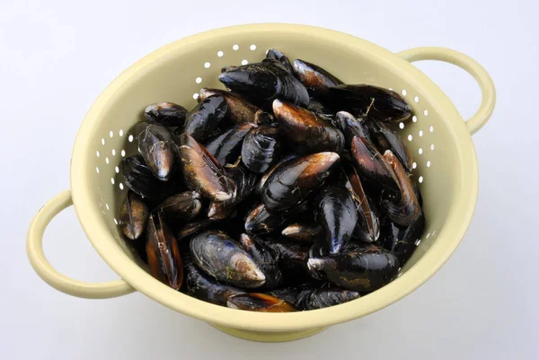 Close Photo Fresh Tasty Mussels Bowl — Stock Photo, Image