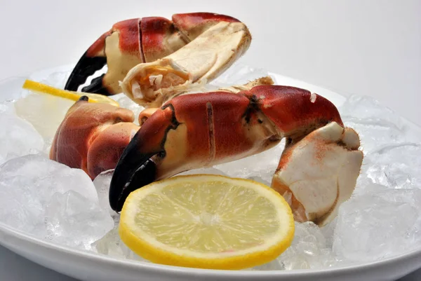 Fresh Organic Crab Claws Ice Lemon — Stock Photo, Image