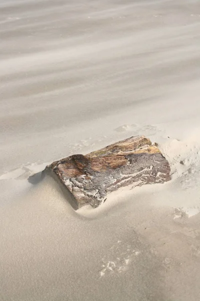 Mycket Vind Stranden Norra Jylland Danmark — Stockfoto