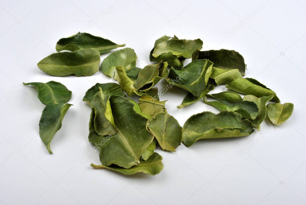 green organic kaffir lime leaves isolated on white background