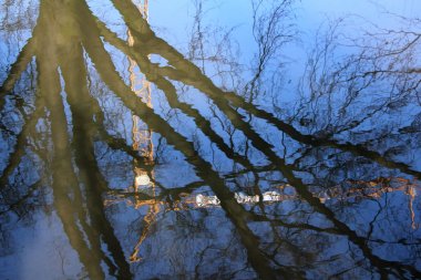 Fotoğraf doğa Versus İnşaat