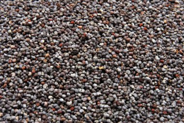 gri organik haşhaş tohumu doku 