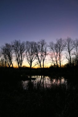 Göl yüzeyinde günbatımında yansıtan ağaçlarının silhouettes 