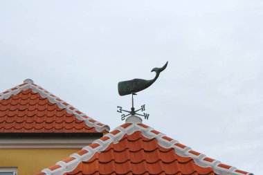 Skagen, Kuzey Yylland Rüzgar afiş