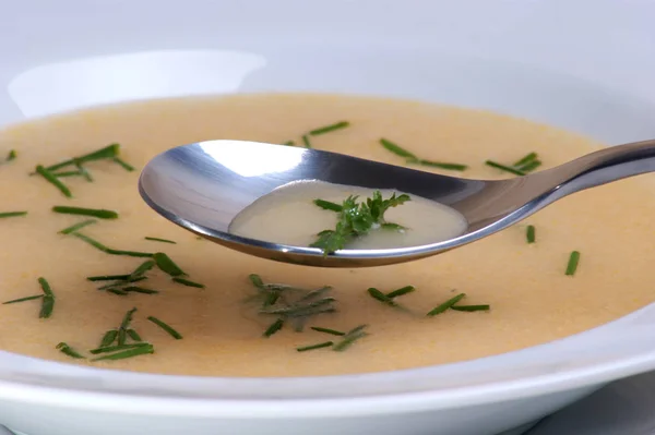 白い皿のクリーム スープ クローズ アップ — ストック写真