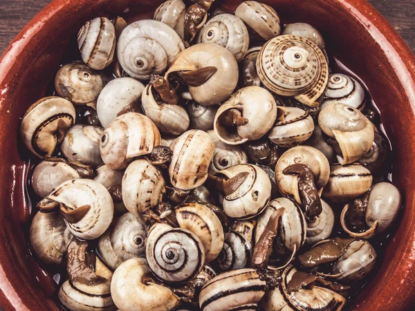 Cooked Snails Escargots Served Rustic Typical Spanish Tapa — Stock Photo, Image