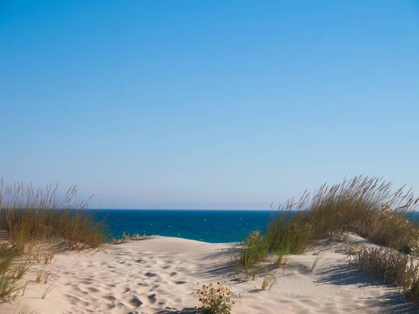 Wydmy Plaży Bolonia Tarifa Costa Luz Hiszpania — Zdjęcie stockowe