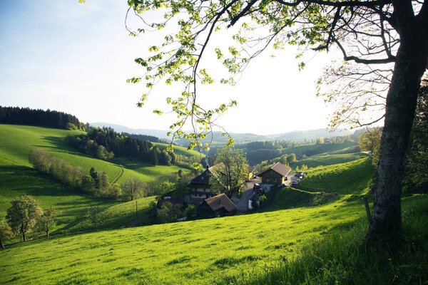 Amazing Mountains landscape shot