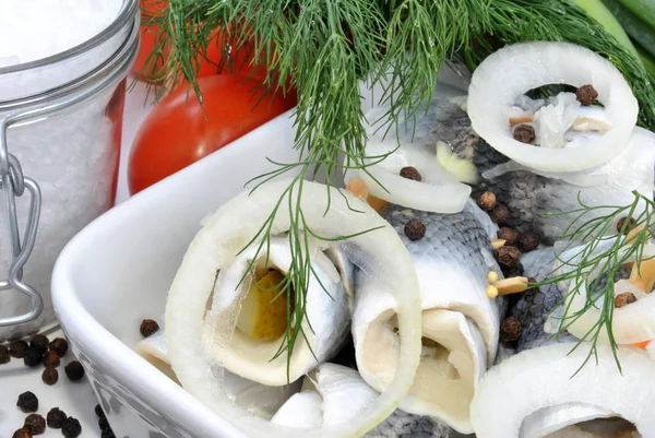 Close Photo Tasty Pickled Herring — Stock Photo, Image