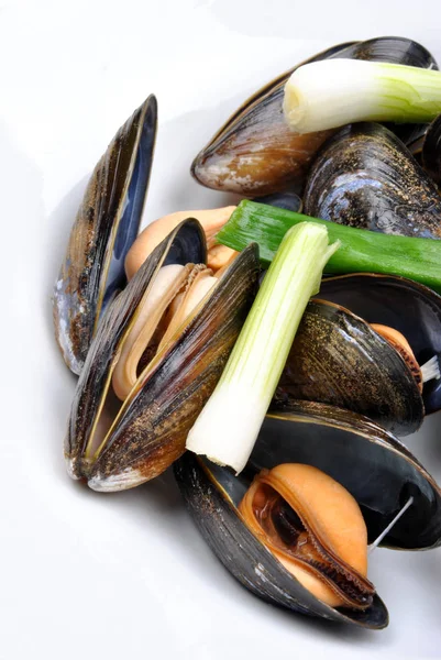 Cooked Organic Mussel Served White Plate — Stock Photo, Image