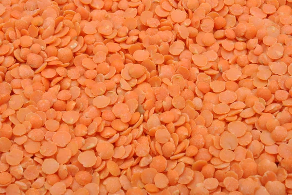 Semințe Culoare Aproape Împușcat — Fotografie, imagine de stoc