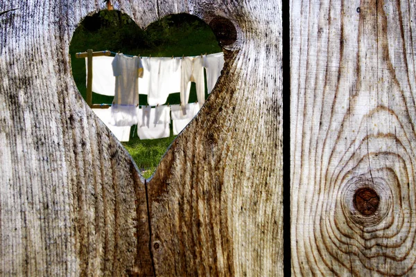 Toilet Door Close Shot — Stock Photo, Image