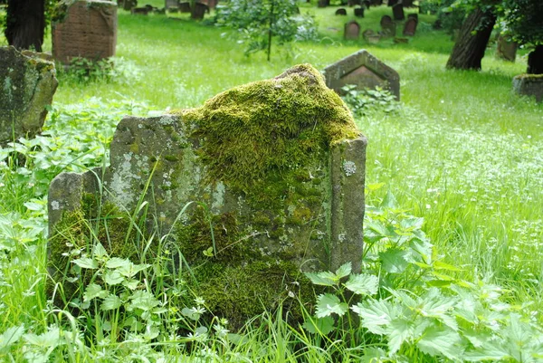 Oude Grafstenen Joodse Begraafplaats — Stockfoto