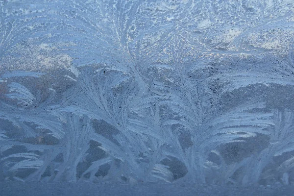 Frozen Flowers Ice Window — Stock Photo, Image