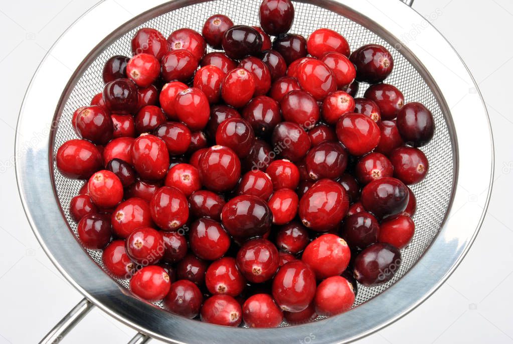 close-up photo of Organic And Healthy cranberries