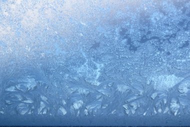 Donmuş çiçekler, buz üzerinde pencere 