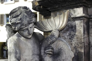 Freiburg, Almanya 'da Bir Fonda İm Breisgau