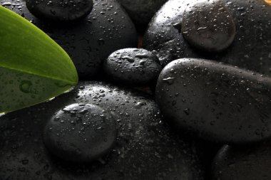 Sıcak taşlar atış kapatın