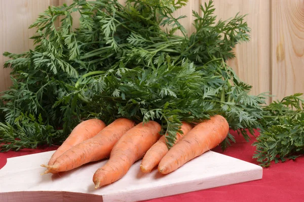 Ische Karotten Aus Dem Garten — Foto Stock