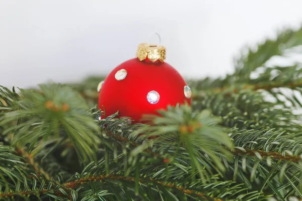 Close Bola Natal Vermelho Isolado Fundo Branco — Fotografia de Stock