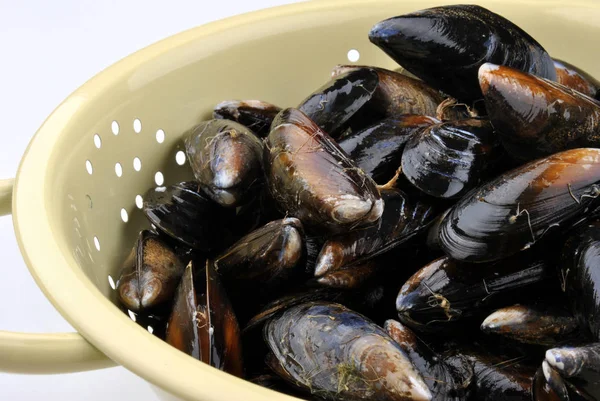 Close Photo Fresh Tasty Mussels Bowl — Stock Photo, Image