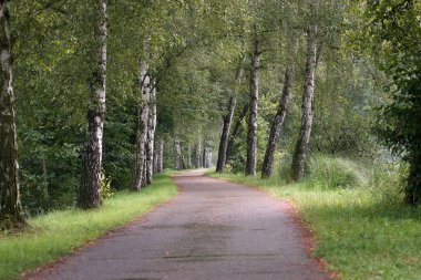 Yol gün süre vurdu