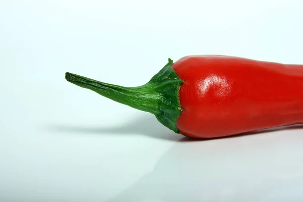 Paprika Elszigetelt Fehér Háttér Makró — Stock Fotó