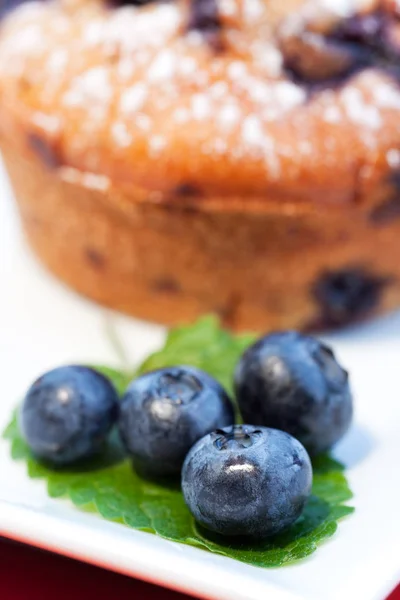 Zblízka Střílel Borůvek Muffin — Stock fotografie