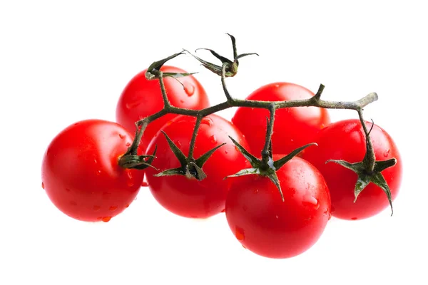 Leckere Tomaten Aus Nächster Nähe — Stockfoto